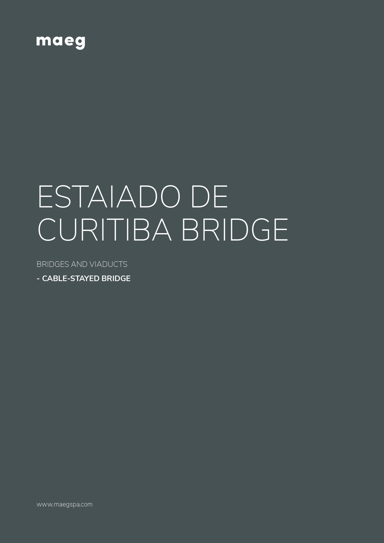 Estaido de Curitiba bridge